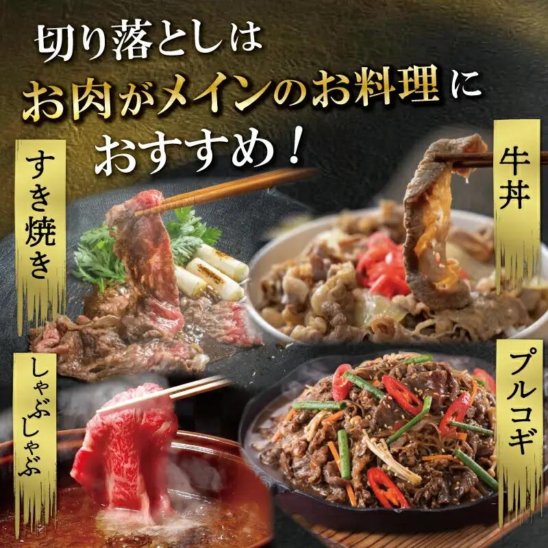 厳選切り落とし250ｇ MA4