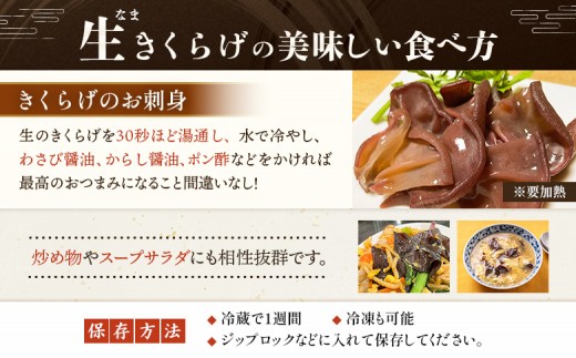 《国産》東北きくらげ【木華（もっか）】600g (100g×6パック)