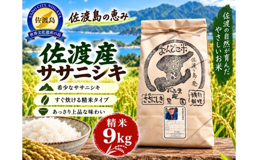 【令和8年産】佐渡産 佐渡産ササニシキ 精米9kg だるま庵農園 | 新潟県産ササニシキ 新潟産ささにしき 佐渡産ササニシキ ささにしき ササニシキ お米 米 精米 おこめ コメ 9キロ 農家直送 にいがた さど 新潟県 佐渡市 コ新潟県産ササニシキ 新潟産ささにしき 佐渡産ササニシキ ささにしき ササニシキ 新潟県産ササニシキ 新潟産ささにしき 佐渡産ササニシキ