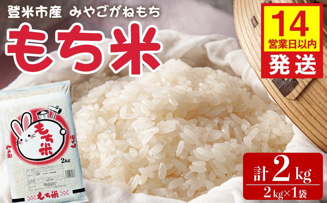 
                  【14営業日以内に発送予定】もち米 みやこがねもち 2kg×1袋 精米 お米 おこめ 米 コメ もち モチ モチ米 おこわ 餅 おもち 赤飯 餅つき 宮城県 登米市産 【登米ライスサービス株式会社】tm727
                