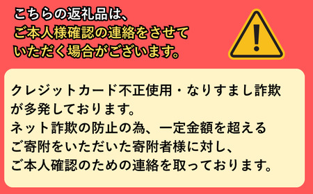 パイゼル サーフボード PYZEL SURFBOARDS CRISIS TWIN