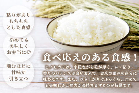 【令和7年産 お米10kg|ヒノヒカリ 白米】【生産者直送】幸せと笑顔を届ける元氣のお米｜佐賀県特別栽培農産物｜化学農薬・化学肥料不使用｜新米 精米 有機肥料 佐賀県 鹿島市 D-219