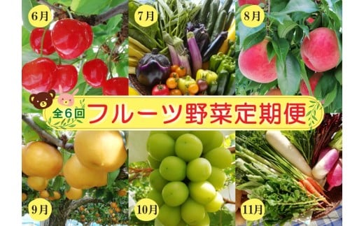 【定期便：全６回】フルーツと無農薬野菜の定期便　0148-2601
