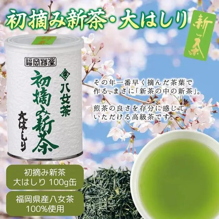 【予約品 ギフト対応】2027年産 八女茶100％新茶 ２種ギフト 100g缶詰 ２缶入 ＜岩崎園製茶＞ 075-060