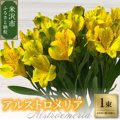 ふるさと納税 米沢市 アルストロメリア 1束 ( 10本 入り ) 〔 イエロー系 〕