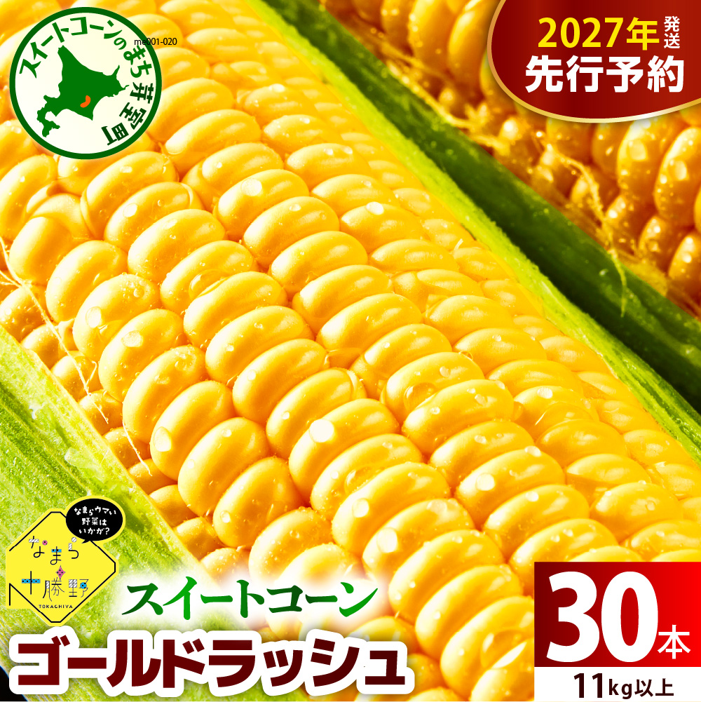 【先行受付】【2027年7月下旬～8月15日頃配送】北海道十勝芽室町 なまら十勝野のスイートコーン ゴールドラッシュ(30本) me001-011-27b／ゴールドラッシュ コーン とうもろこし 生 