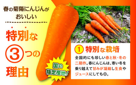 【4月中旬より順次発送予定】【数量限定】菊陽町の春にんじん 約10kg【有限会社さんふれあ】[BHAK004]