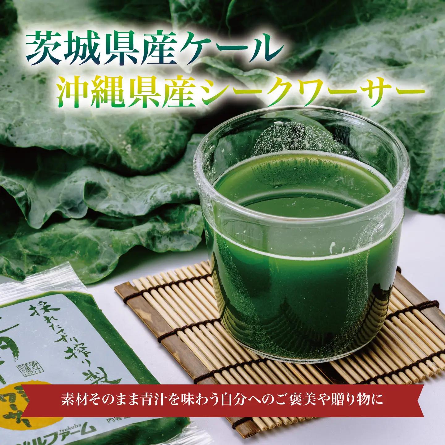 12ヵ月定期便 青汁シークワーサー入 100g×30P