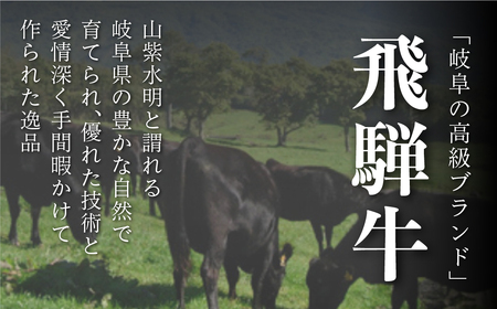 飛騨牛切り落し250g×2p [s931]