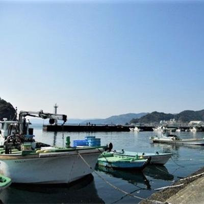 ふるさと納税 須崎市 宮進・土佐の郷土料理「どろめ」と葉にんにくの「ぬた」 |  | 03