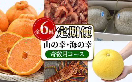 
            ＜定期便・全6回(奇数月)＞阿久根市の山の幸・海の幸(ぼんたん・不知火・タカエビ・メロン・伊勢海老など)国産 柑橘 みかん フルーツ 果物 魚介 頒布会【松永青果】akn053-37
          