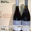 【ふるさと納税】マスカットベイリーA飲み比べペア（マスカットベイリーA2016/2018）750ml×各1本《楠わいなりー》ワイン お酒 洋酒 ぶどう 葡萄 ブドウ