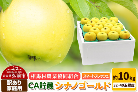 【寄附金額見直しました】【26年3月発送】りんご【訳あり】家庭用 シナノゴールド約10kg（32～40玉程度）CA スマートフレッシュ