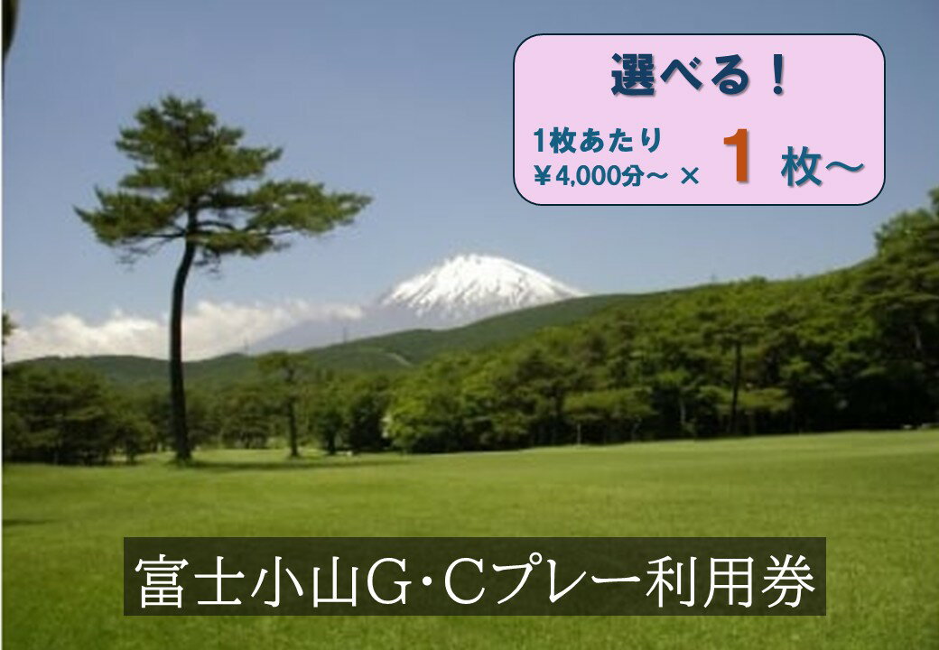 【ふるさと納税】富士小山G・C プレー 利用券 | 4000円分〜 選べる 利用券 チケット 1枚 4000円×1枚〜 5枚 20枚 ゴルフ ゴルフ場 18ホール フラット ゴルフプレー券 ゴルフ利用券 富士山 富士 景観 券 富士小山ゴルフクラブ 静岡県 小山町 送料無料