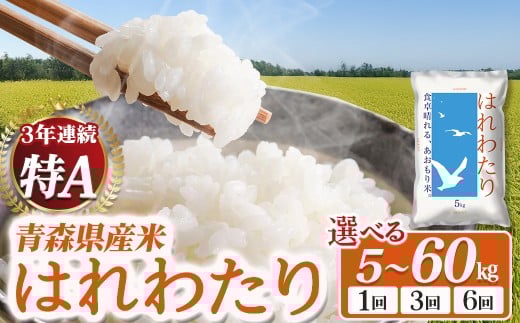【定期便】2025新米 青森県産米「はれわたり」5kg×6回便　新米 青森 はれわたり ブランド米 精米 お米 おこめ こめ ご飯 ごはん 地元農家 甘味 旨味 青森県 三戸町 AS-25-009