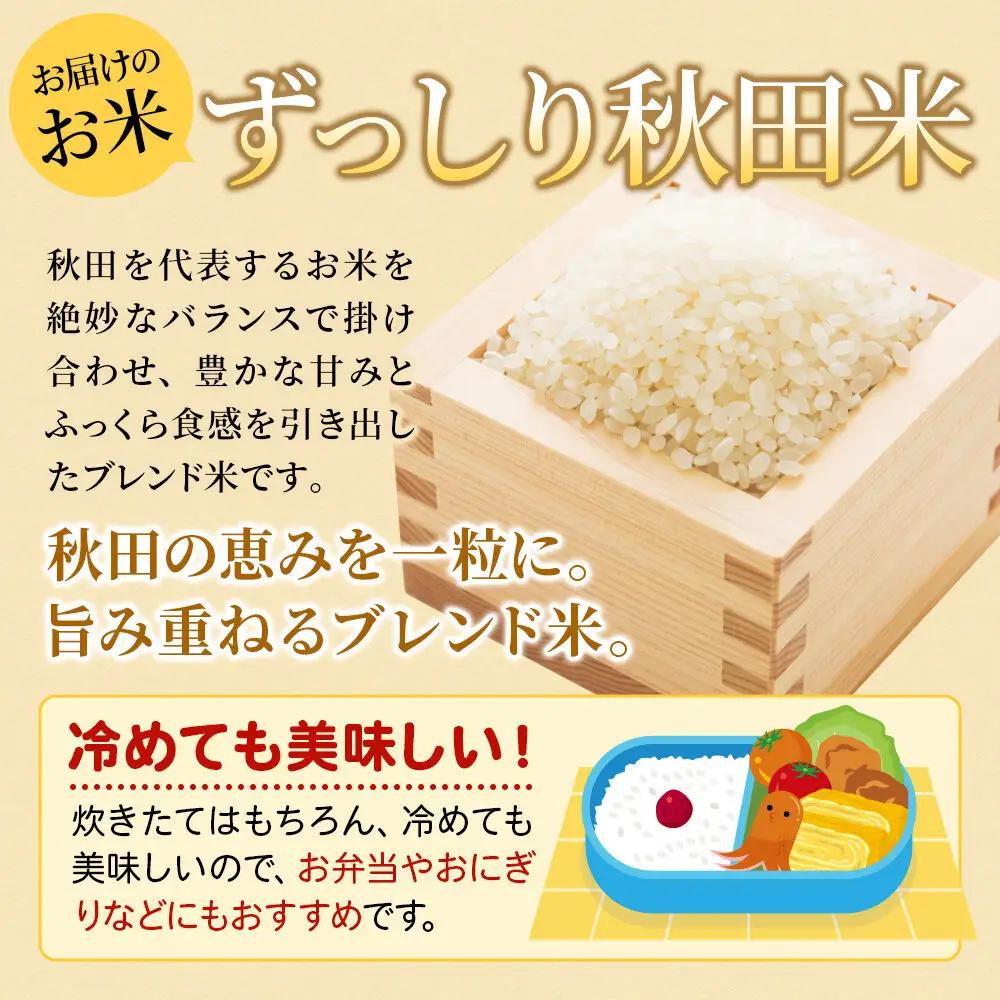 米《定期便9ヶ月》米どころ 秋田県大仙市産 ブレンド米【無洗米】10kg（5kg×2袋）