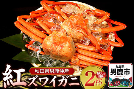 男鹿沖産紅ズワイガニ 600g 前後×2杯 男鹿なび 蟹 カニ 国産 秋田 ずわい蟹 ずわいガニ