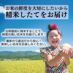 【令和7年産】 米 10kg にこまる 米 AS012