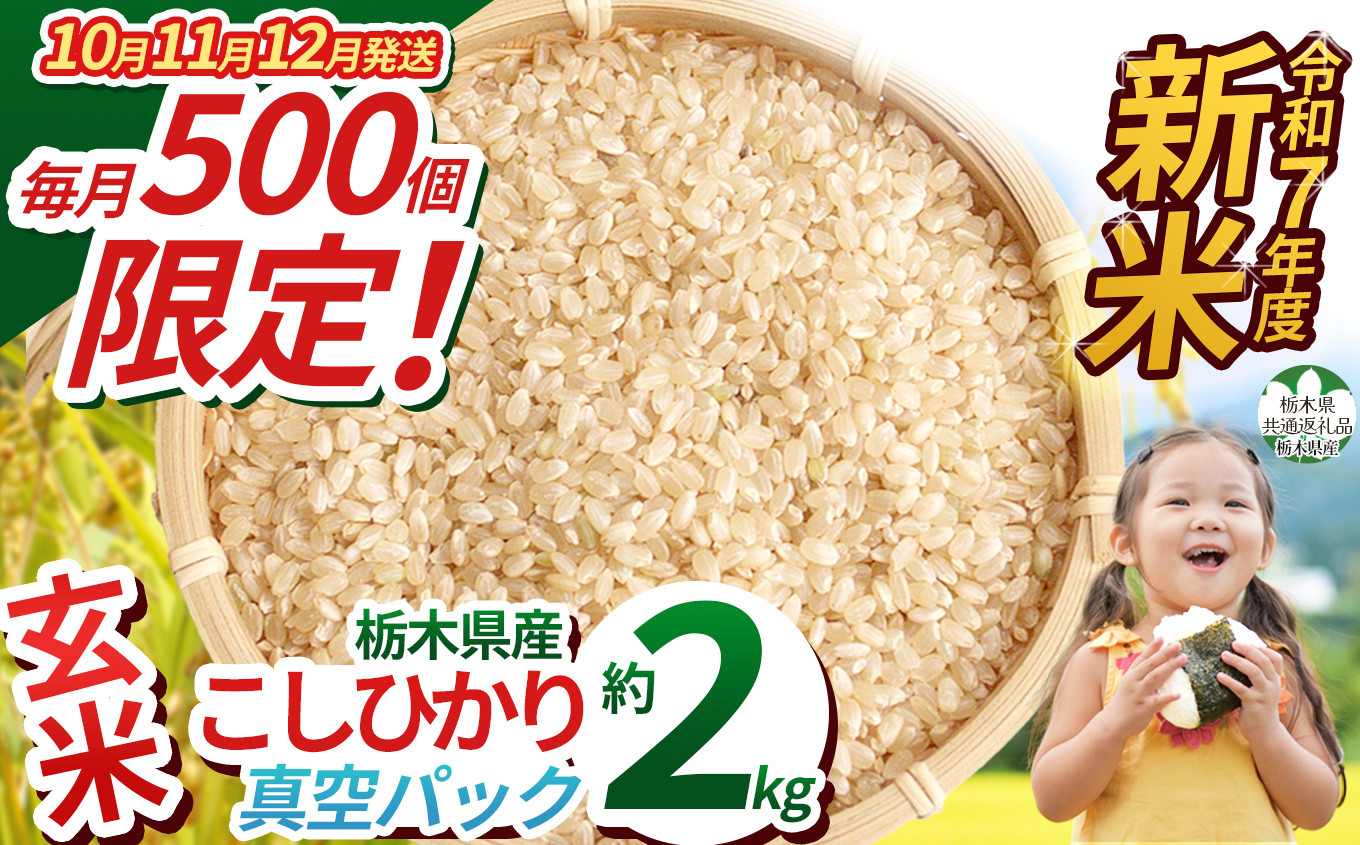 
            【先行予約】【令和7年度新米】【毎月500個限定！】 【栃木県共通返礼品】栃木県産こしひかり 2kg（玄米真空パック） | こしひかり 玄米 米 ごはん  冷めてもおいしい ふるさと納税 那珂川町 栃木県
          