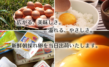 【11ヶ月定期便】《かながわブランド認定》平飼い有精卵さがみっこ 30個×11か月 | 平飼い ケージフリー 卵 有精卵 鶏卵 玉子 たまご 生卵 国産 濃厚 コク 旨味 ※離島への配送不可