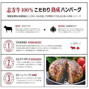 【国産】志方牛100%のこだわり熟成ハンバーグ150g×6個〈ハンバーグ 国産 牛肉 100% 牛 こだわり セット 冷凍 肉 惣菜 お取り寄せ グルメ おかず ギフト 送料無料〉