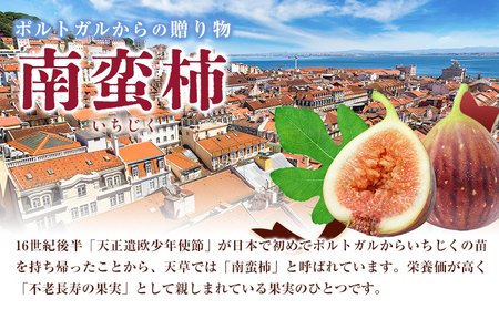 天草 ソフト ドライいちじく 40g × 1袋 もり農園《30日以内に出荷予定(土日祝除く)》熊本県 苓北町 ドライいちじく ドライフルーツ 乾燥 果物 南蛮柿 製菓 熊本 苓北