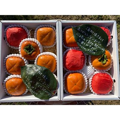 ふるさと納税 紀の川市 【紀州富士のMEGUMI】紀の川柿約2kg(黒いダイヤ)NUKATA_FARM |  | 01