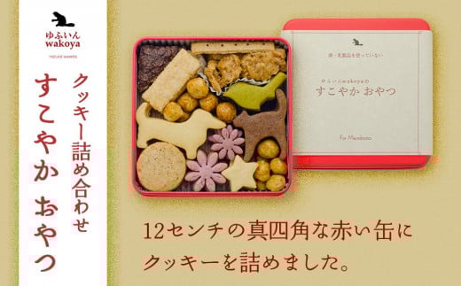 
            大分県産地粉(小麦粉・米粉)使用　クッキー詰め合わせ「すこやか おやつ」【卵・乳製品不使用／ギフト用包装】【ゆふいんwakoya】 | クッキー缶 缶 ギフト お菓子 スイーツ おかし 焼菓子 贈答 プレゼント 詰め合わせ 湯布院 由布院 ゆふいん DA001
          