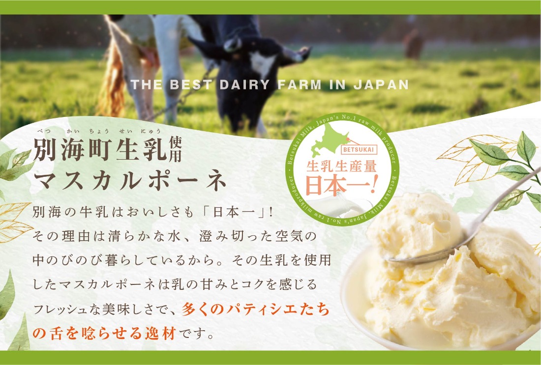 大人気！チーズケーキ ホール (4号×2個) 【ドゥーブルフロマージュ】 FD0000056