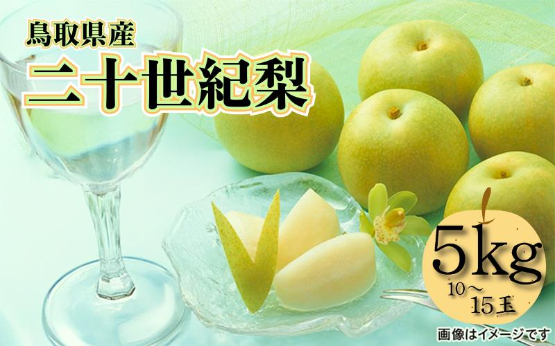 
            【先行予約】中野農園 梨 ”二十世紀梨” 5kg箱｜鳥取 岩美 梨 なし ナシ 青梨 果物 フルーツ【41026】
          