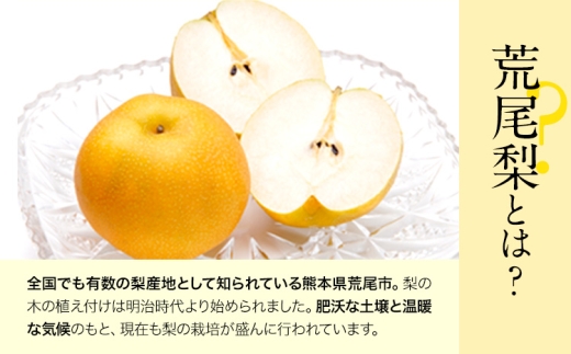 梨 荒尾梨 あきづき または 新高 ジューシー赤梨便 4kg 品種 なし フルーツ 果物 旬 《2026年8月下旬‐11月中旬頃出荷》熊本県 荒尾市 旬の梨 （品種指定不可）
