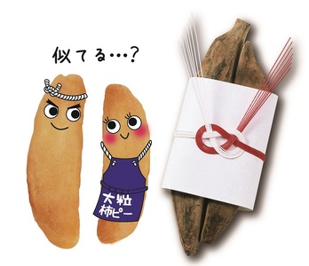 焼津大粒柿ピー 節のたね (a10-941)