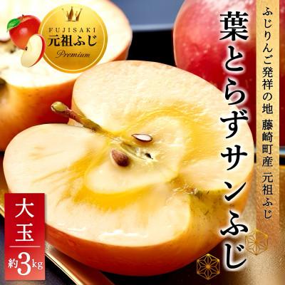 葉とらずサンふじ 大玉 約3kg(6～8玉) ご家庭用りんご(訳あり) 青森県産リンゴ 青森林檎【配送不可地域：離島・沖縄県】