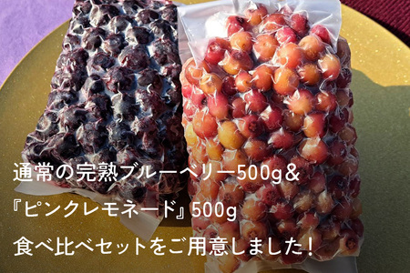 【希少品種食べ比べ】冷凍ブルーベリー ピンクレモネード＆大粒品種 1kgパック(500g×2) A16-013