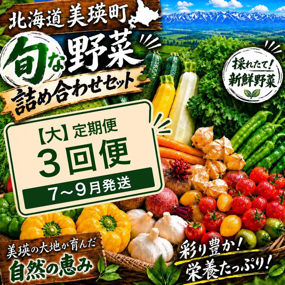 季節の野菜セット【大】定期便 3回便 7月 8月 9月発送 旬野菜 詰め合わせ あらいふぁーむ