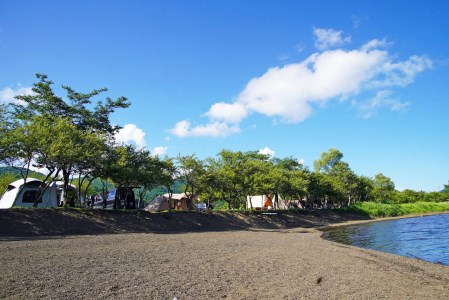 sotosotodays CAMPGROUNDS 山中湖みさき（区画・フリー・林間フリーサイト） ふるさと納税 キャンプ キャンプ場 フリー 区画 林間 ソロキャンプ 山梨県 山中湖 送料無料 YAE