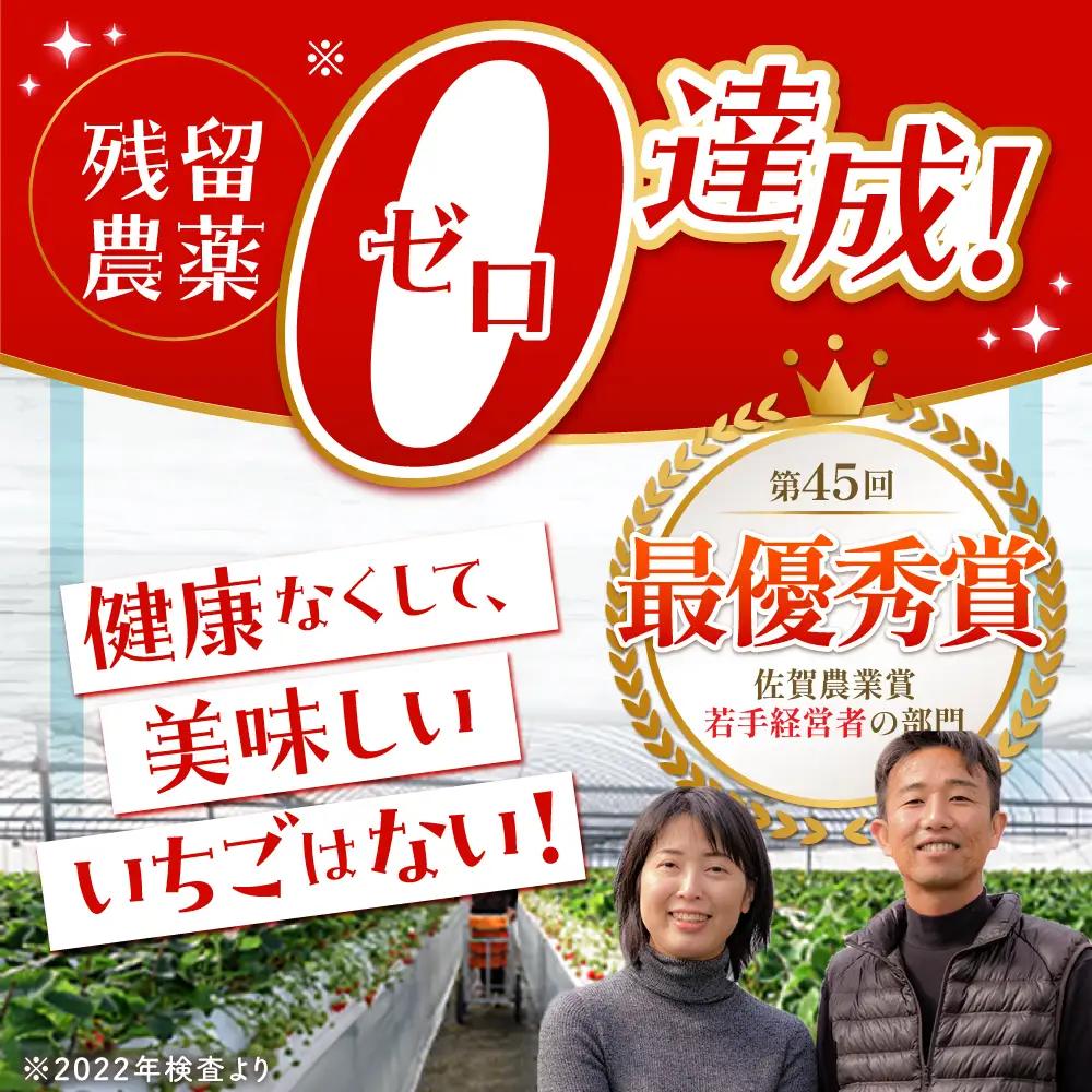 【先行予約】【2?4月発送】さがほのか250g×4 HAF024 いちご 果物 フルーツ いちご