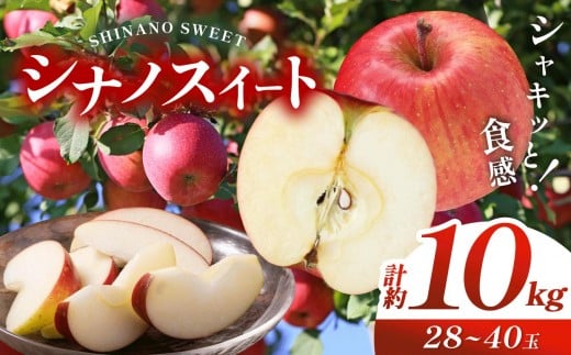 信州産 塩尻エールりんご！ シナノスイート 約10kg （28～ 40玉 ）【9月中旬頃～発送予定】| 果物 くだもの フルーツ 林檎 りんご リンゴ シナノスイート 長野県 塩尻市
