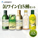 【ふるさと納税】缶ワイン 白 5種セット 12本入 モンデ酒造 飲み比べ プティモンテリア プレミアム デラウェア スパークリング ワイン サングリア 酒 お酒 晩酌 宅飲み 家飲み キャンプ BBQ バーベキュー パーティー ぶどう 山梨県 笛吹市 18000円 177-4-040