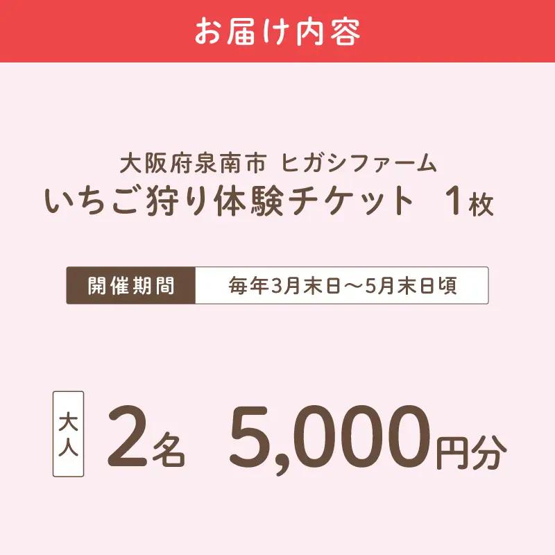 【見つけて、摘んで、食べて！】希少いちご「ほしうらら」を摘みに行こう いちご狩り 体験チケット（大人2名 5,000円分）【121D-001】