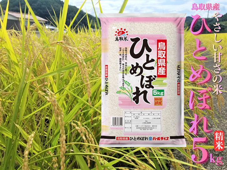 精米 5kg 白米 ひとめぼれ 鳥取県産 令和7年産 | 225M