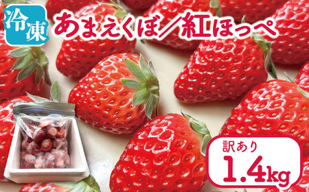 訳あり いちご 冷凍 苺 1.4kg いちご