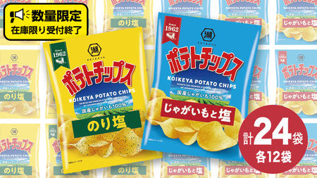 【12/21入金確認分まで年内お届け】湖池屋 ポテトチップス 2種類アソート （のり塩・じゃがいもと塩）（各12袋・計24袋）
