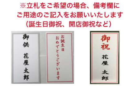 フォアスPREMIUM胡蝶蘭3本立ち42輪以上 リップ (B1033-1) 