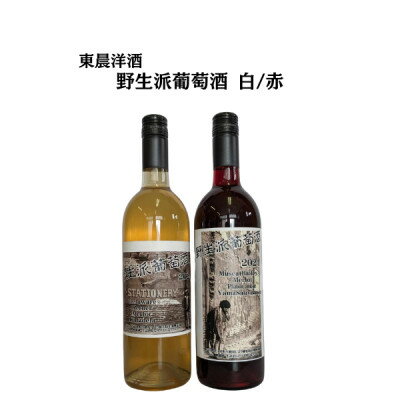 【ふるさと納税】東晨洋酒 野生派葡萄酒 白赤セット 無添加ワイン　合計2本(720ml×各1本)【1706047】