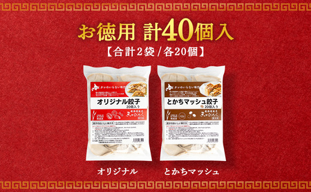 天のびろく 餃子 お徳用 ２種 セット（580ｇ×2） 徳用 冷凍 北海道 千歳 食べ比べ