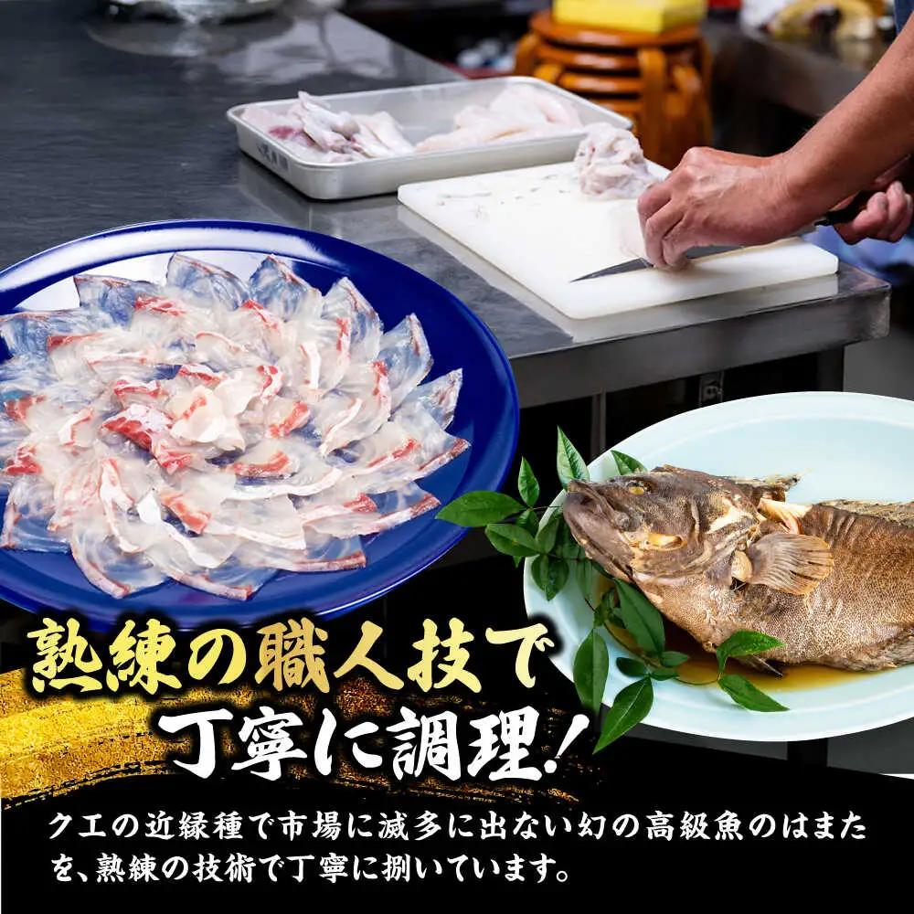 【着日指定可能】【冷蔵でお届け】若狭まはた刺身と姿煮のセット2人前   小浜市 / 若狭ふぐの宿 下亟 【配送不可地域：北海道・沖縄・離島】  [BFAF018] 