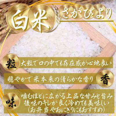 ふるさと納税 吉野ヶ里町 【毎月定期便】『さがびより白米5kg』五つ星お米マイスター厳選!(吉野ヶ里町)全5回 |  | 01