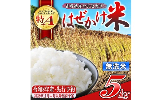 【令和8年産・無洗米５kg】長野県産こしひかり はぜかけ米（北海道・沖縄県・離島は配送不可）   【先行予約・2026年11月下旬以降発送】　精米 2026年産 産地直送 信州 長野県 佐久市 美味しい うるち米 先行予約