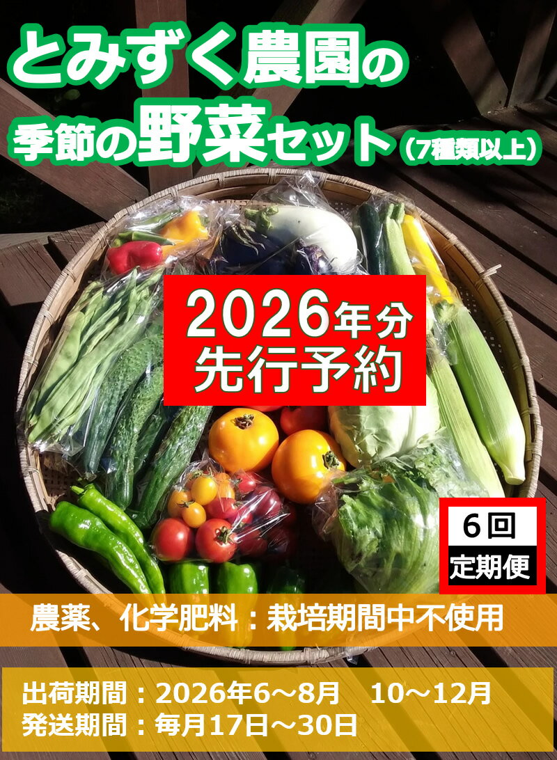 【ふるさと納税】【2026年先行予約・6回定期便】とみずく農園の季節の野菜セット (北海道・沖縄県・離島は配送不可) 無農薬 高原野菜 旬 新鮮 詰合せ＜出荷時期：2026/6/17～2026/12/28 出荷終了＞【 産地直送 産直 旬の野菜 有機野菜 有機栽培 長野県 佐久市 旬彩】